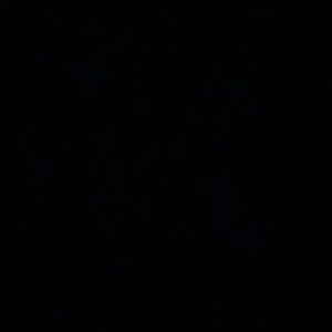 Meet your Posher, Near